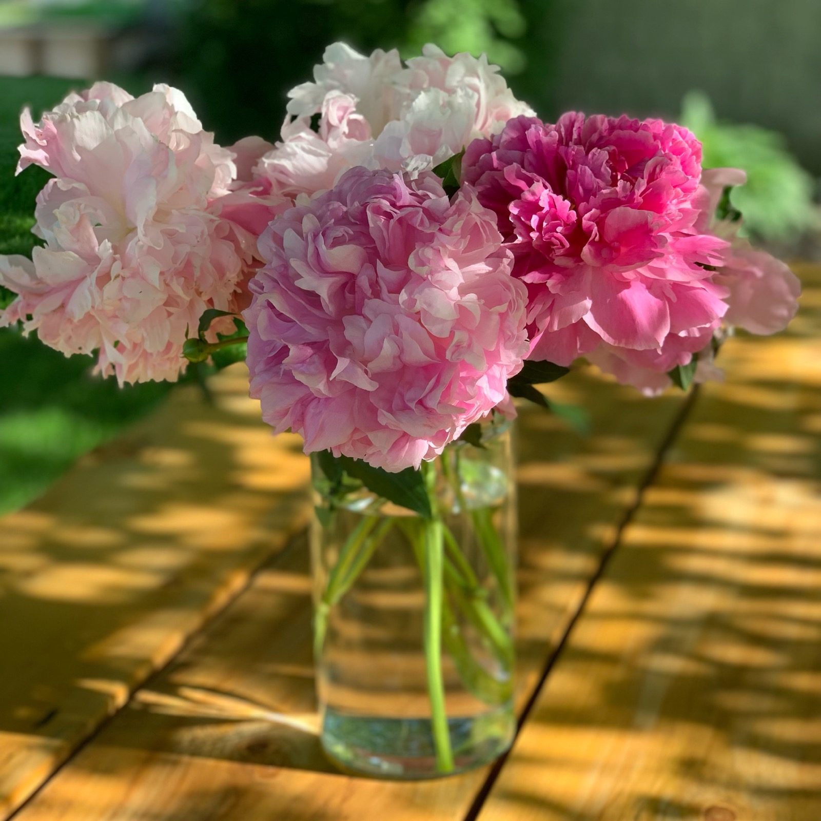Photo of flowers in vase